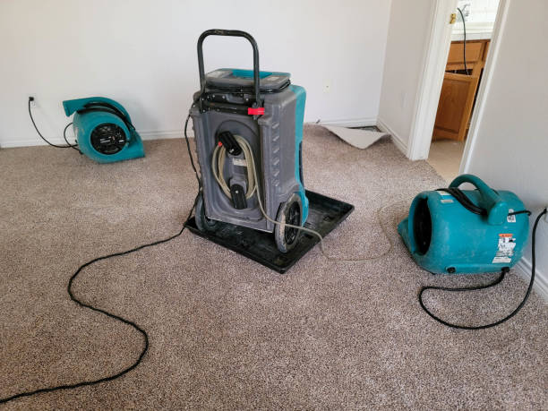 Best 24/7 water damage repair  in West Hamburg, PA