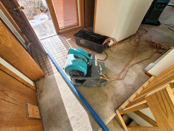 Best Commercial water damage restoration  in West Hamburg, PA