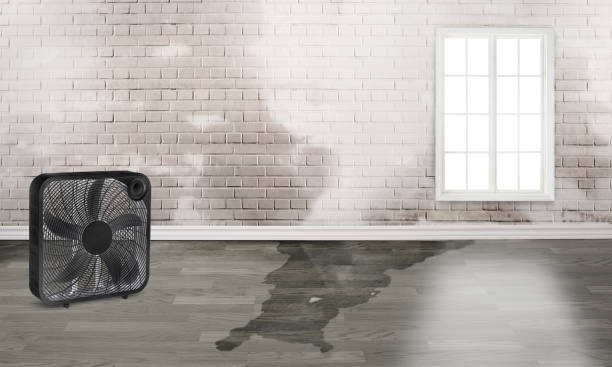 Best Flood restoration services  in West Hamburg, PA