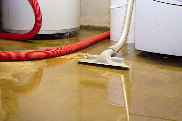 Best Flood damage cleanup  in West Hamburg, PA