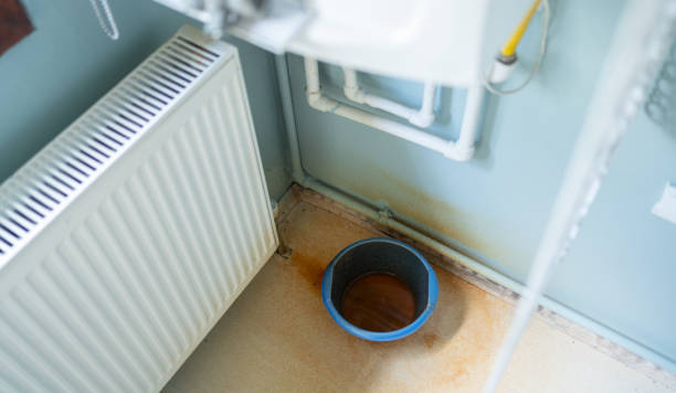 Best Carpet water damage restoration  in West Hamburg, PA