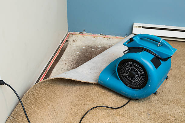 Best 24-hour water damage restoration  in West Hamburg, PA